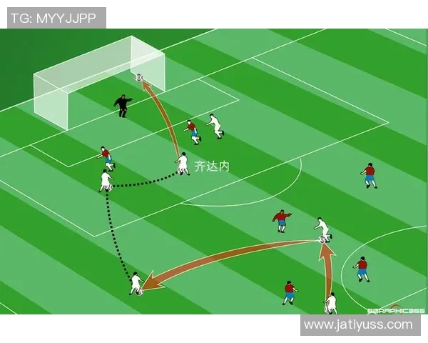 足球明星的奋斗历程与荣耀时刻揭示了体育精神的真谛与魅力